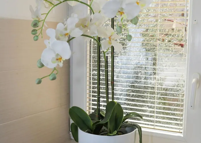 Apartamento New 40 Old Town *